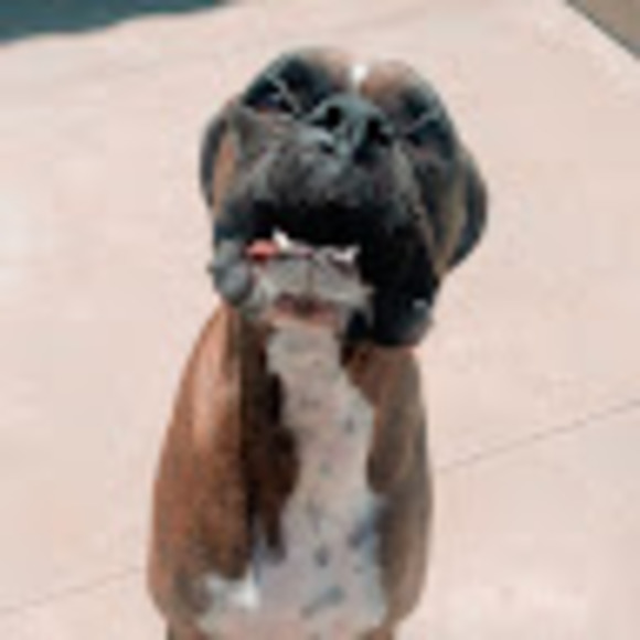 Meet your Posher, Alyvia - Picture 1 of 1